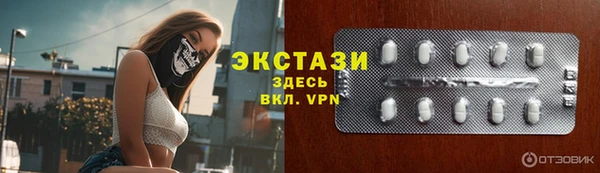 гидра Вязьма