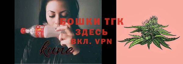 гидра Вязьма