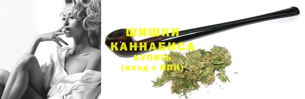 mdpv Вяземский