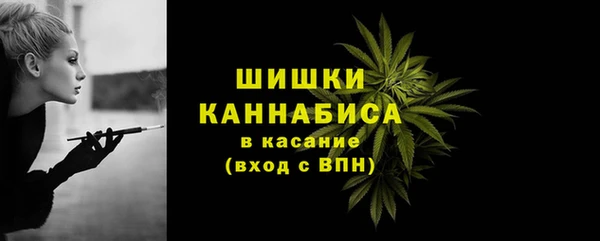 гидра Вязьма