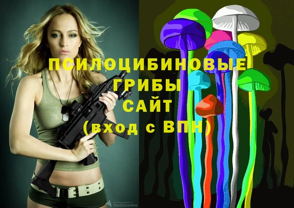 гашик Вязники