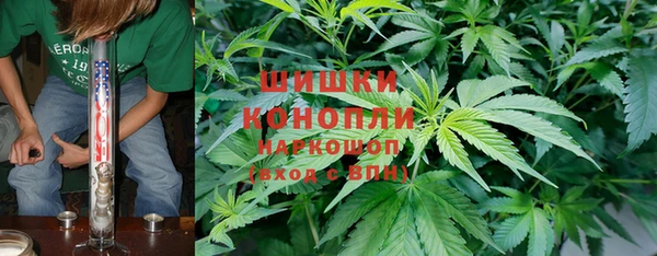 гидра Вязьма