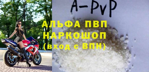 гидра Вязьма