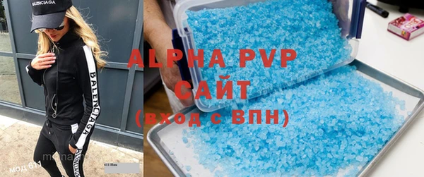 гидра Вязьма