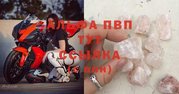 гидра Вязьма