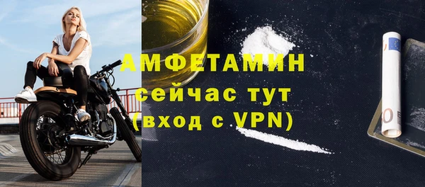 mdpv Вяземский