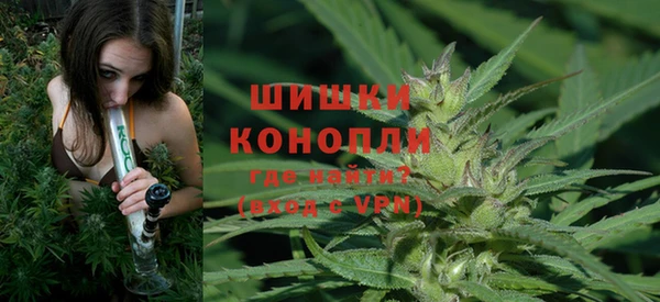 гашик Вязники