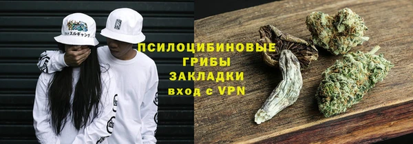 гидра Вязьма