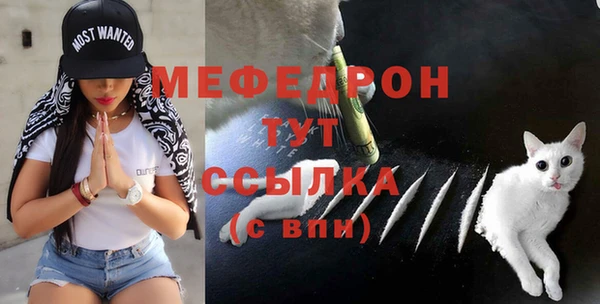 гидра Вязьма