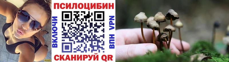 Галлюциногенные грибы GOLDEN TEACHER  Купить закладки  Камышлов 