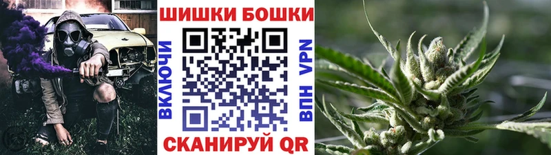 Купить закладки  Камышлов  Бошки марихуана марихуана 